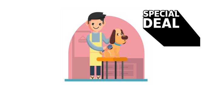 Pet Grooming As A Business
