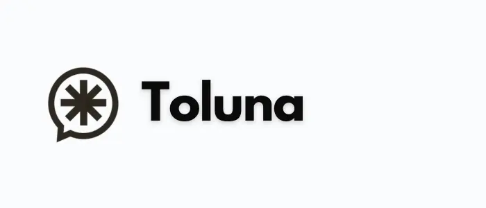 Toluna surveys