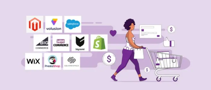 eCommerce Platforms for Dropshipping South Africa