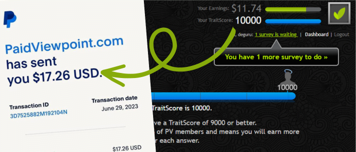 PaidViewpoint-Proof-Of-Payment