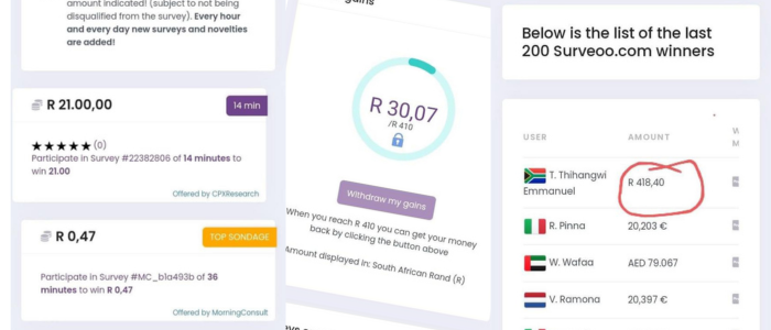 Surveoo Proof Of Withdrawal