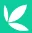 Bamboo-investing-logo-icon